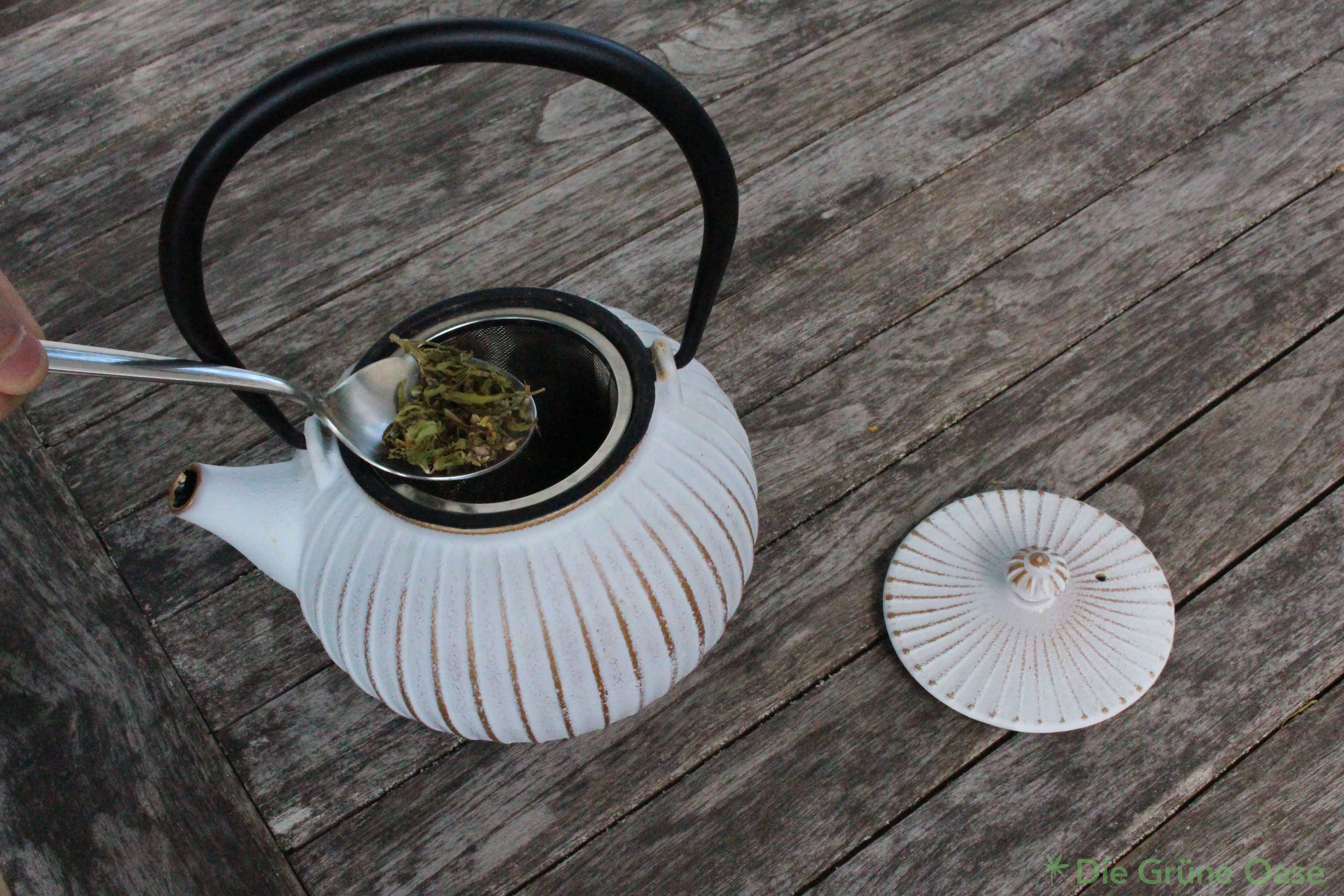 Hanftee mit Teekanne